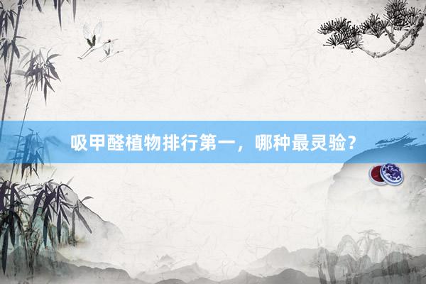 吸甲醛植物排行第一，哪种最灵验？
